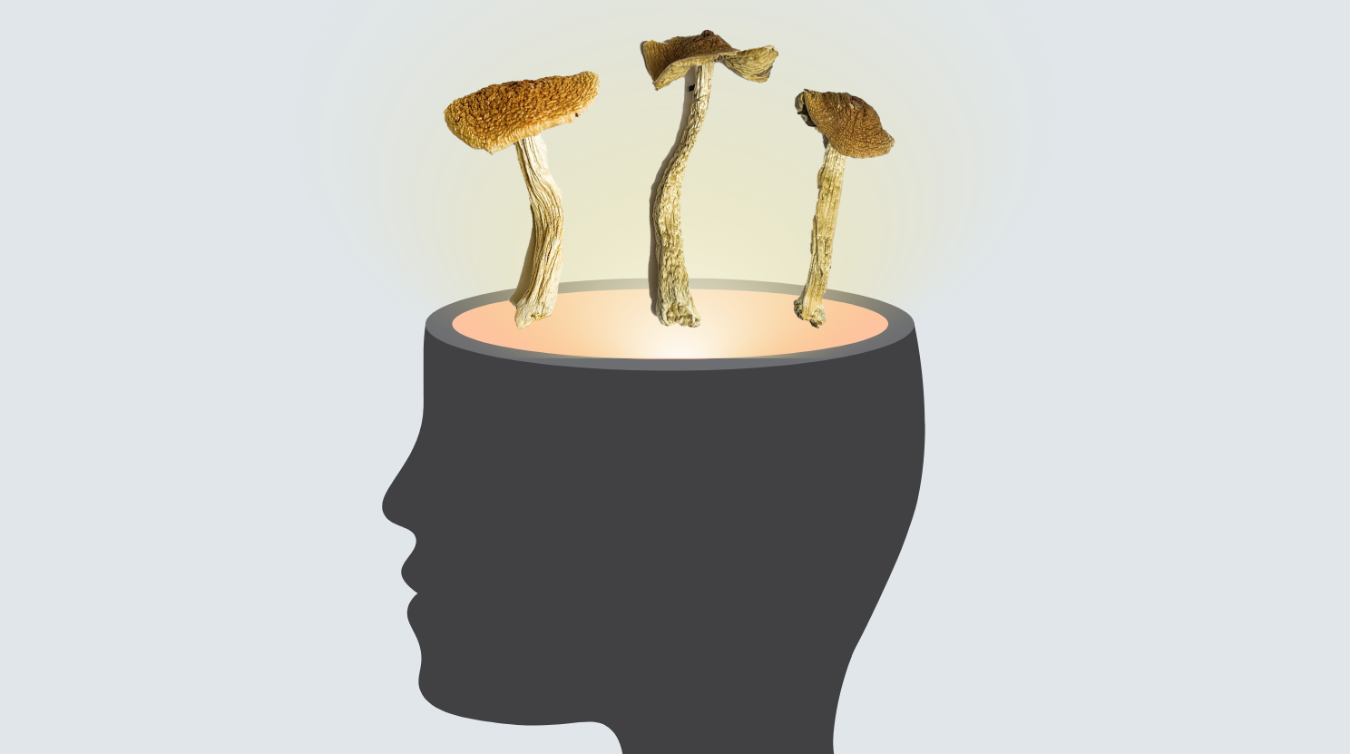 Microdosing Shrooms: How Psilocybin Mushrooms Enhance Mental Health