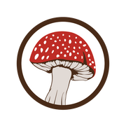 logo of Psyched Wellness Store